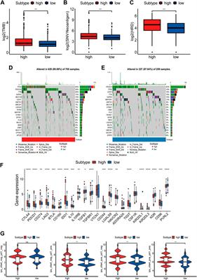 NAD+ biosynthesis metabolism predicts prognosis and indicates immune microenvironment for breast cancer